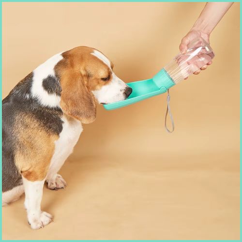 Gourde-pour-chien-550-ml-avec-abreuvoir-intégrée_vert