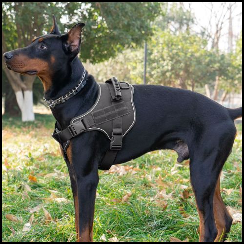 Harnais-anti-traction-chien-avec-poignée-noir-rottweiler