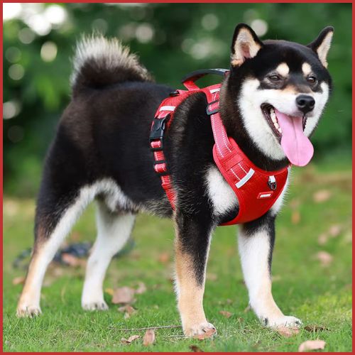 Harnais-anti-traction-chien_léger-et-respirant-rouge