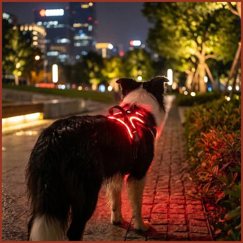 Harnais-chien-LED-lumineux-pour-les-promenades-nocturnes_rouge