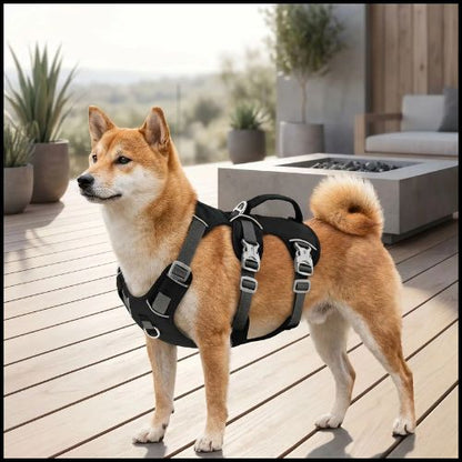 Harnais-chien-Shiba-Inu-triple-attache-securisee_noir