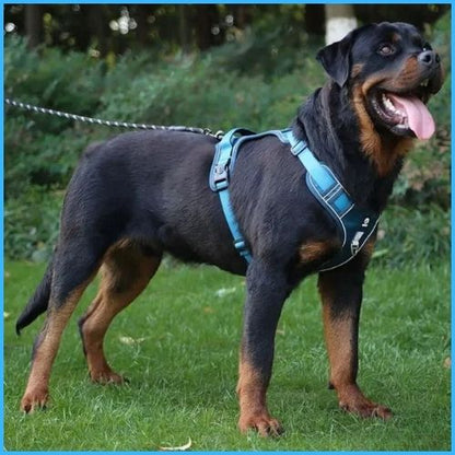 Harnais-chien-anti-traction-double-attache-marine