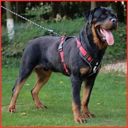 Harnais-chien-anti-traction-double-attache-rouge_noir