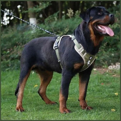 Harnais-chien-anti-traction-double-attache-vert-kaki