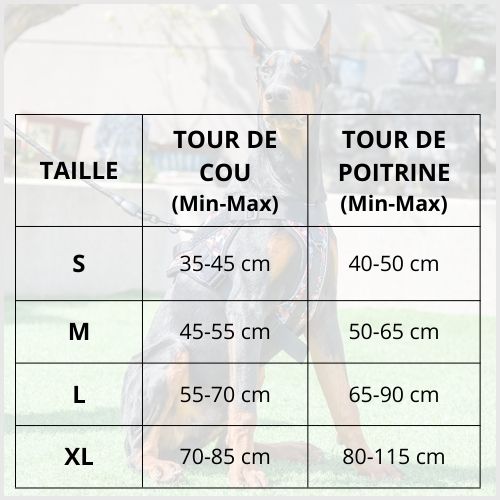 Harnais-chien-anti-traction_résistant-tailles