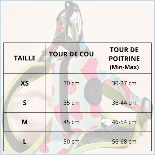 Harnais-chien-pratique-avec-laisse-et-distributeur-de-sacs_taille
