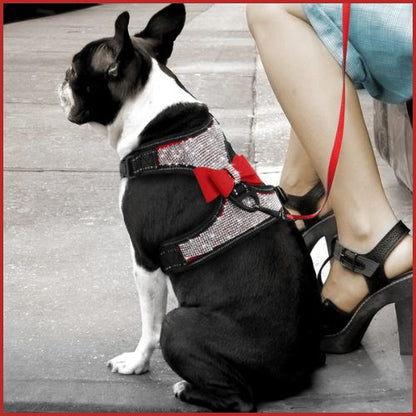 Harnais-chien-réglable-en-H-avec-strass-rouge