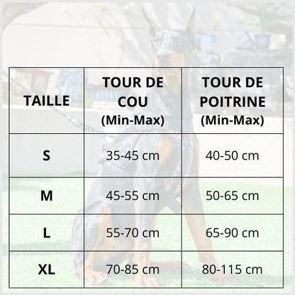 Harnais-chien-résistant-pour-un-meilleur-contrôle-en-promenade tailles