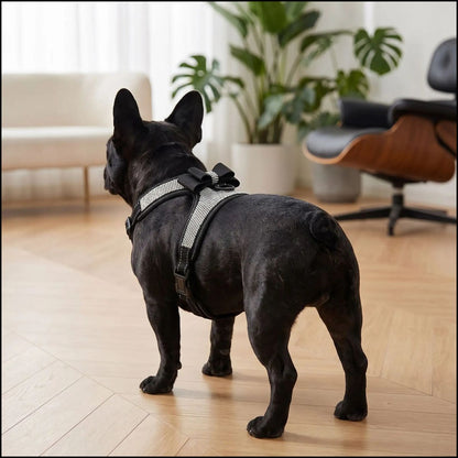 Harnais-chien-réglable-en-H-avec-strass-noir