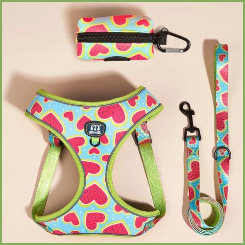 Harnais-chien-respirant-pour-l_ete-pack