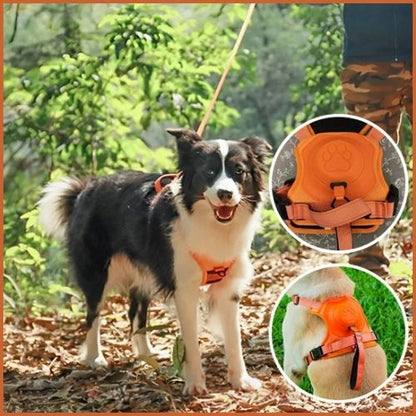 Harnais-chien_avec-laisse-intégrée-orange