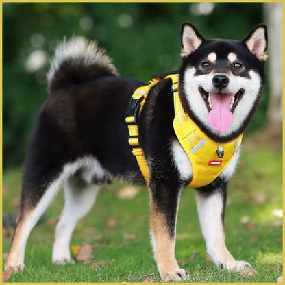 Harnais-chien_léger-et-respirant-pour-les-promenades-jaune-shiba-inu