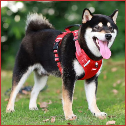 Harnais-chien_léger-et-respirant-pour-les-promenades-rouge-shiba
