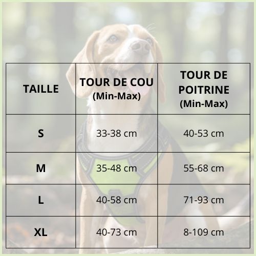Harnais-chien_tableau-taille