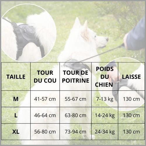 Harnais-chien_tailles