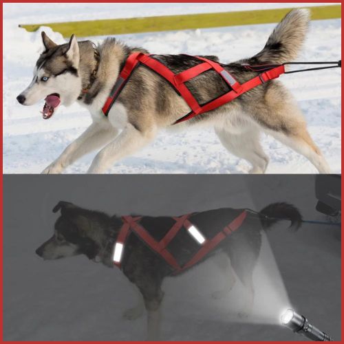 Harnais-de-traction-pour-chien-idéal-traîneau-et-skijoring-husky-rouge
