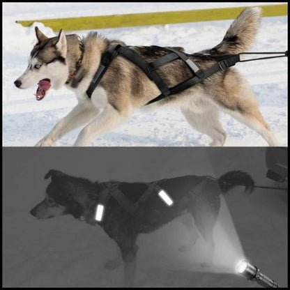 Harnais-de-traction-pour-chien-idéal-traîneau-et-skijoring-noir