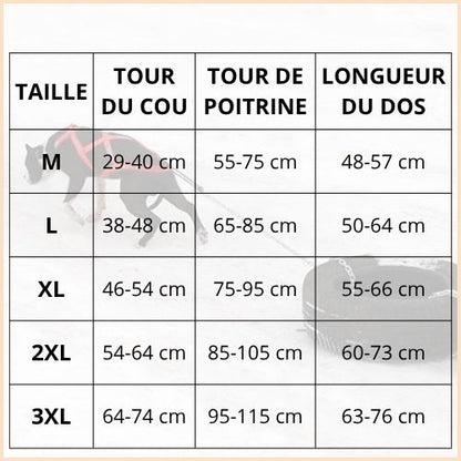 Harnais-de-traction-pour-chien-idéal-traîneau-et-skijoring-taille