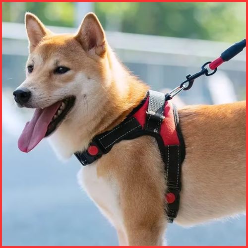 Harnais-pour-chien-Shiba-inu-réglable-et-rembourré-rouge