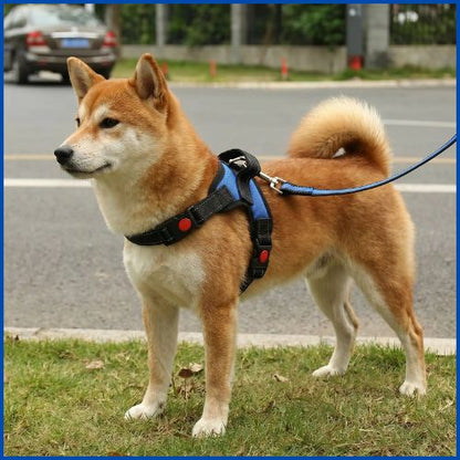 Harnais-pour-chien-Shiba-inu-réglable-et-rembourré-bleu