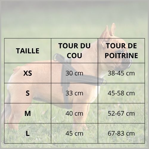 Harnais-pour-chien-avec-attache-dorsale-et-ventrale-taille