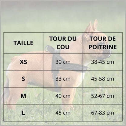 Harnais-pour-chien-avec-attache-dorsale-et-ventrale-taille