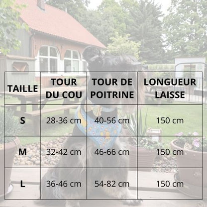 Harnais-pour-chien-respirant-avec-laisse_taille