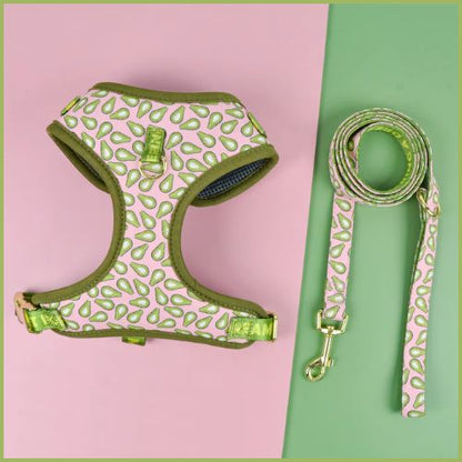 Harnais-pour-chien-respirant-avec-laisse_vert