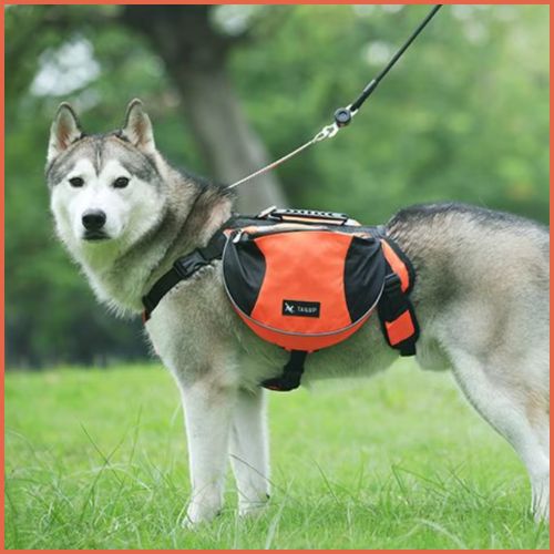 Harnais-pour-chien-randonnée-avec-double-sacoche-orange