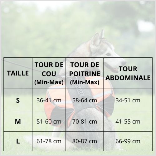 Harnais-pour-chien_tailles