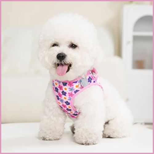 Harnais-pour-petit-chien_spécial-chiot-sensible-doux-et-léger-rose