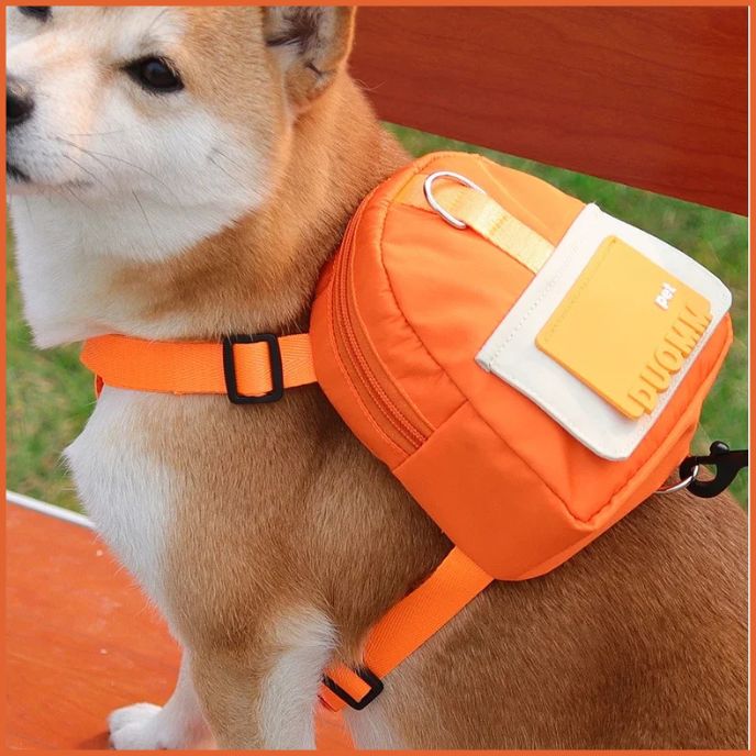 Harnais_chien-avec-sac-à-dos-pour-petit-et-moyen-orange