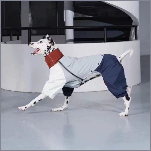 Imperméable-chien_coupe-vent-bleu-blanc