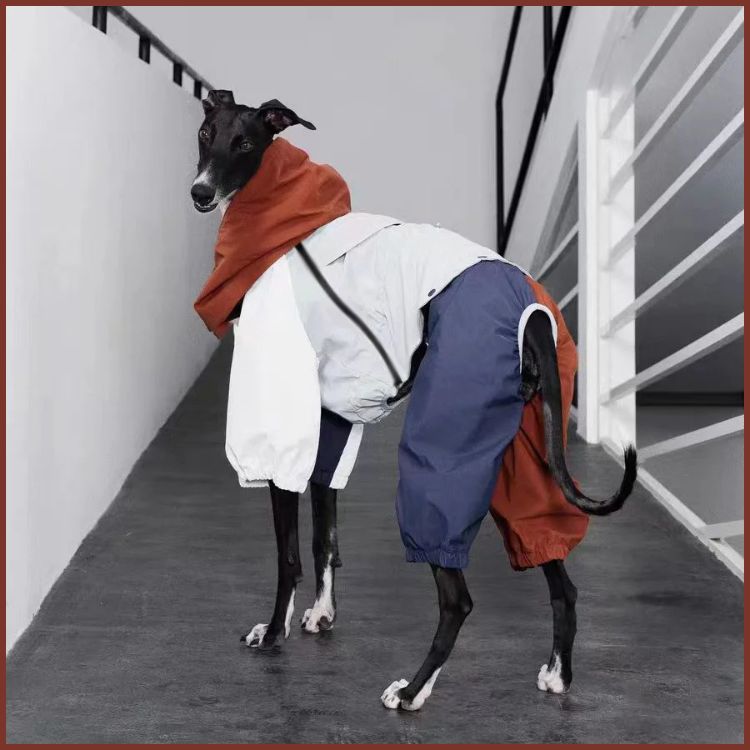 Imperméable-chien_coupe-vent-noir