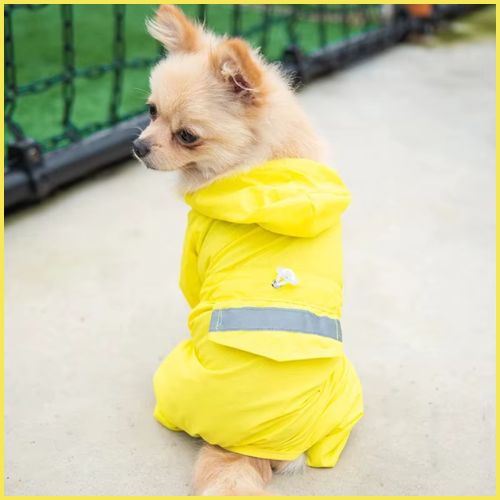 Impermeable-chien_jaune