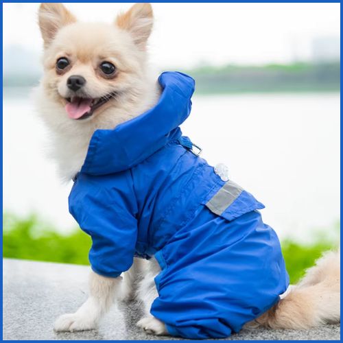 Impermeable-chien_salopette-bleu-gris-mer