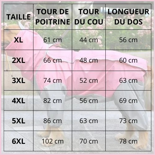 Imperméable-pour-chien-anti-pluie-grande-taille-tableau