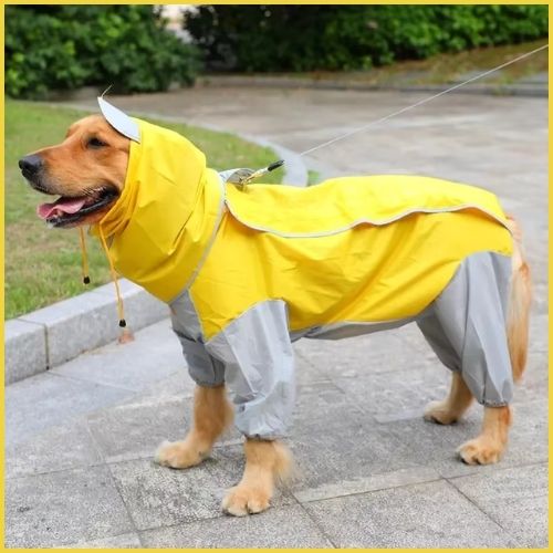 Imperméable-pour-chien-anti-pluie-grande-taille-jaune