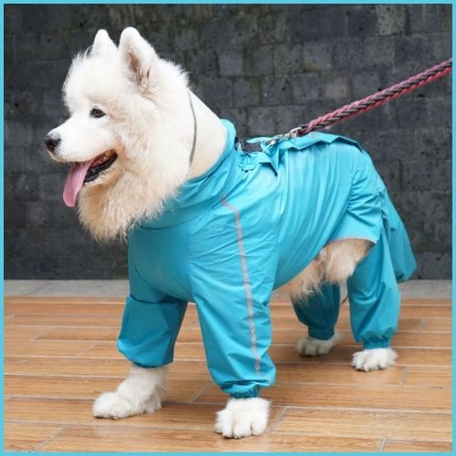 Imperméable-pour-chien-bleu-clair