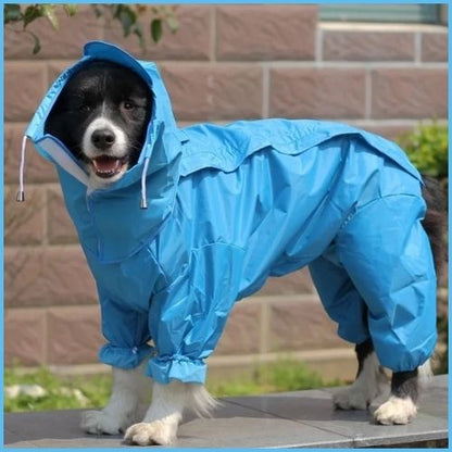 Imperméable-pour-chien_anti-pluie-grande-taille-bleu