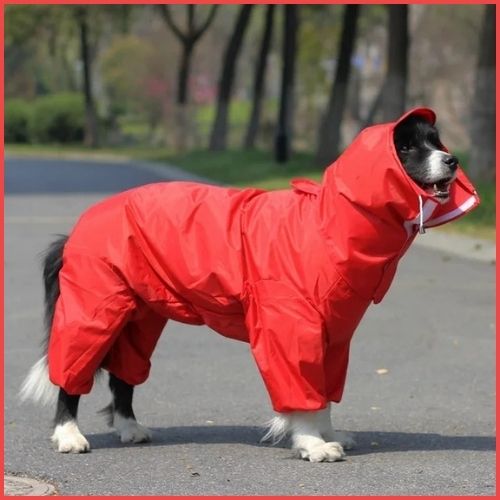 Imperméable-pour-chien_anti-pluie-grande-taille-rouge