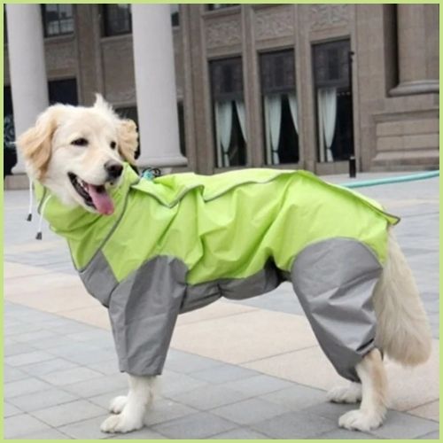 Imperméable-pour-chien_anti-pluie-grande-taille-vert