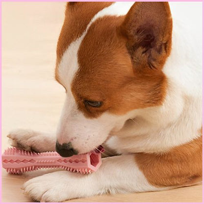 Jouet-pour-chien-bâton-dentaire-en-caoutchouc-souple_rose
