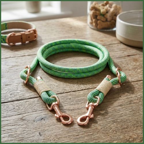 Laisse-chien-main-libre-elegante-et-reglable_vert