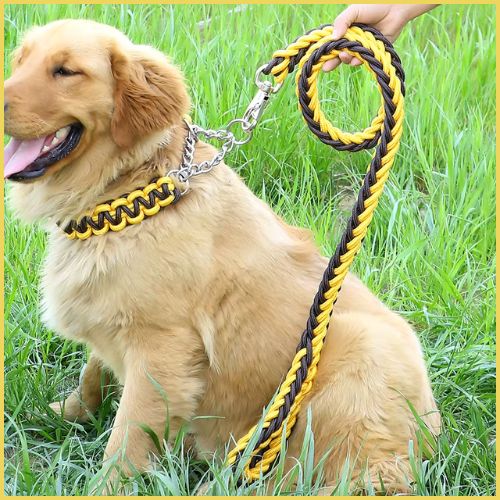 Laisse-chien-résistant-en-nylon-tressé-pour-grand-gabarit-jaune