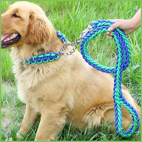 Laisse-chien-résistant-en-nylon-tressé-pour-grand-gabarit-taille