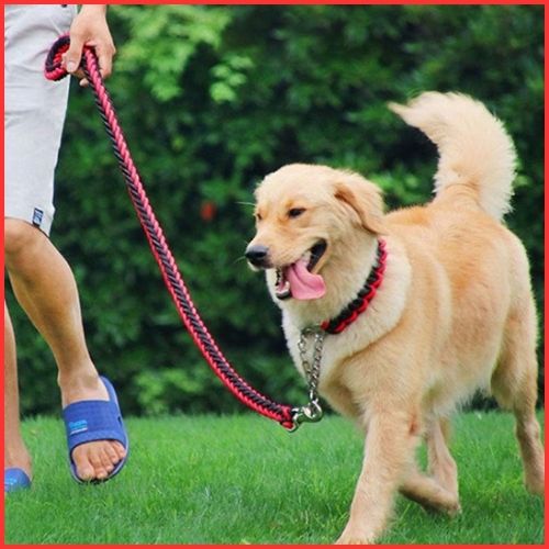 Laisse-chien-résistant-en-nylon-tressé-pour-grand-gabarit_rouge