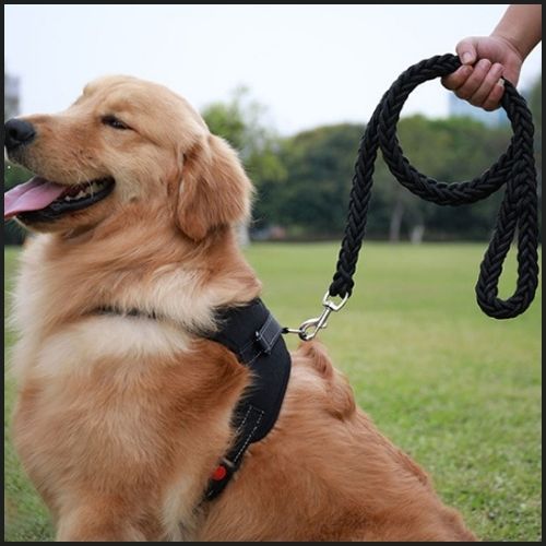Laisse-chien-résistant-en-nylon-tressé-pour-grand-gabarit_noir