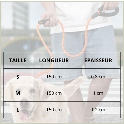Laisse-lasso-chien-avec-poignée-rembourrée