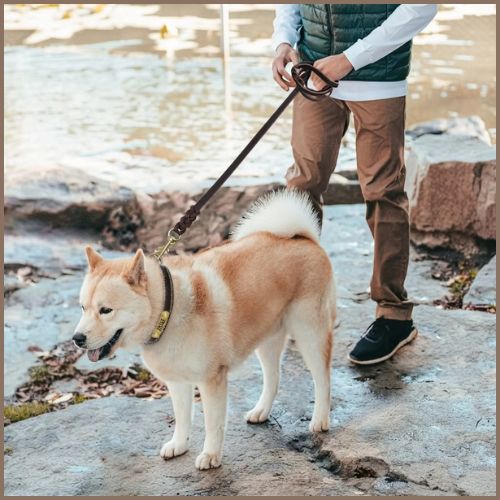 Laisse-pour-chien-en-cuir-véritable-marron